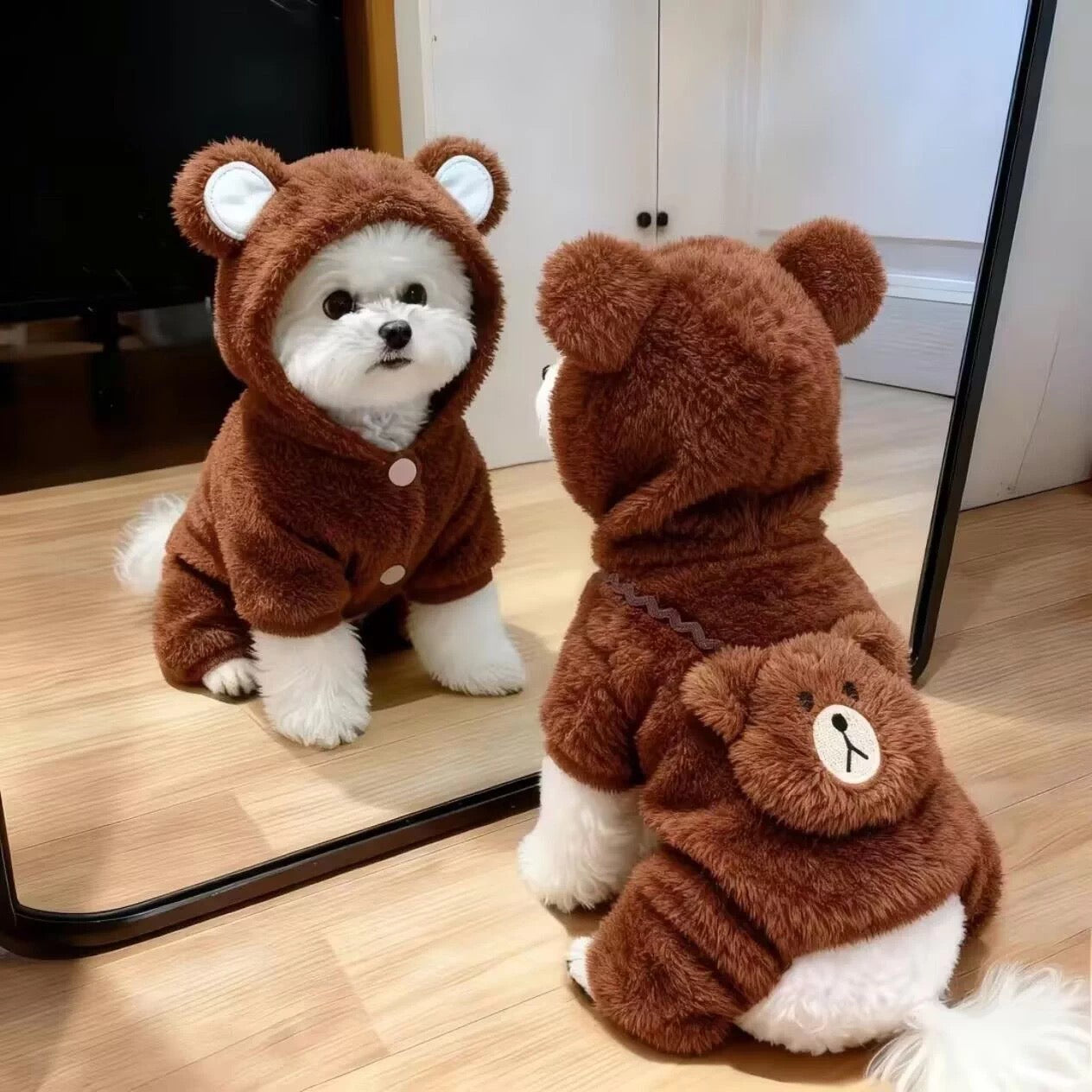 Your baby cutie clothes